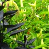 blog photos 013