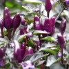blog photos 014