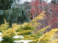 winter2011