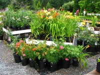blog photos 004 (3)