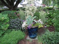 fromnursery 060