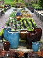 nursery 2011