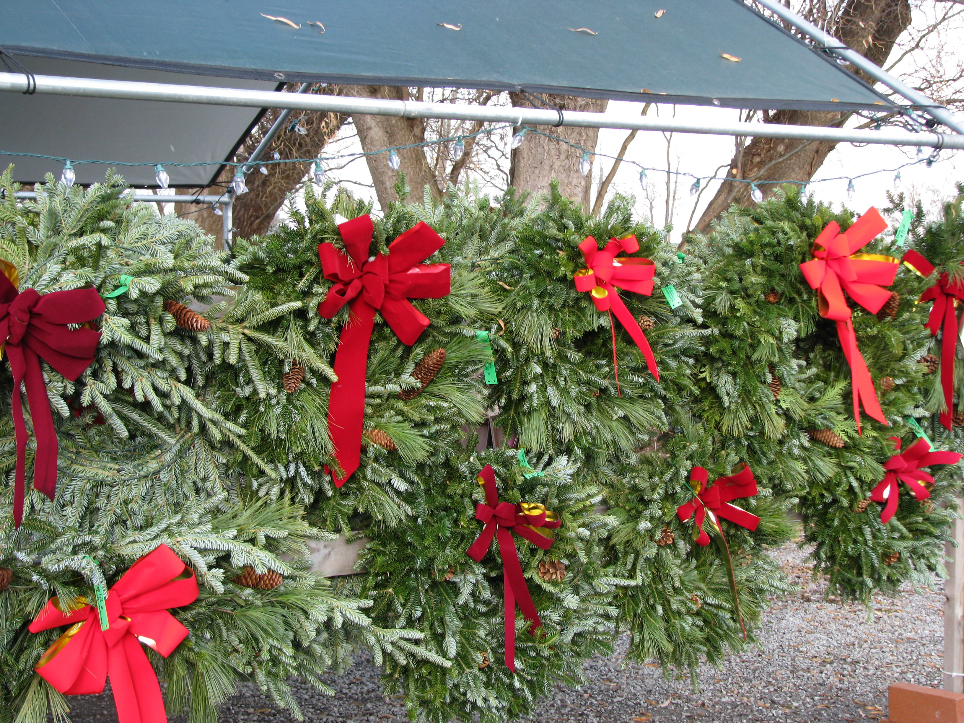 Christmas wreathes with red bows