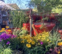 Image of Palmiters garden in summer